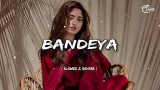 Bandeya  LoFi  slowed amp reverb  song  Arijit Singh  lofiwithsafwan [upl. by Rior]