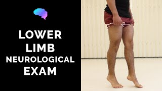 Lower Limb Neurological Examination  OSCE guide old version  UKMLA  CPSA [upl. by Urquhart]