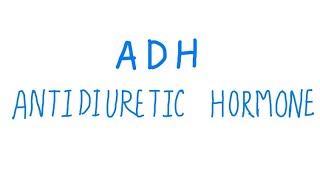 Antidiuretic Hormone  ADH Hindi  Its physiology and how it works ADH antidiuretichormone hindi [upl. by Kurys]