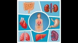 Cardiac output and VR 2022 [upl. by Thielen211]