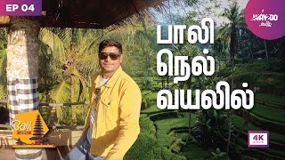 Beautiful Bali Rice Terrace  ஆச்சரியமூட்டும் பாலி மக்களின் விவசாயம்  4K  Episode 4  Way2go தமிழ் [upl. by Fachini]