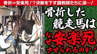 【競馬】競走馬は骨折するとなぜquot安楽死quotさせられるのか…『テンポイント』事件によって医療界が発展…競馬界に一筋の光が差し込んだ！？ [upl. by Llovera646]