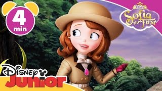 Sofia the First  Royal Vacation  Disney Junior UK [upl. by Declan]