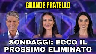 GRANDE FRATELLO I SONDAGGI DICONO IL PROSSIMO ELIMINATO E SARA [upl. by Eltsyrc]