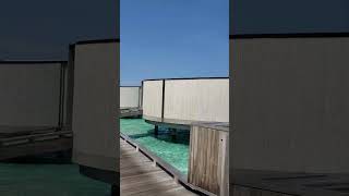 Overwater Villas Jetty The RitzCarlton Maldives Fari Islands June 2024 RitzCarltonMaldives [upl. by Halian]