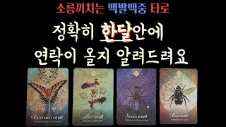 타로연락운속마음 정확히 한달안에 연락이 오는지 알려드려요 🔮 [upl. by Virg]