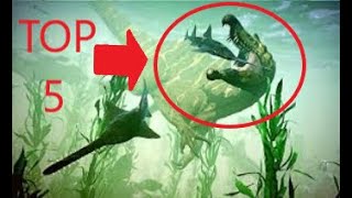 TOP 5 NEJVĚTŠÍCH MASOŽRAVÝCH DINOSAURŮ [upl. by Htebazle]