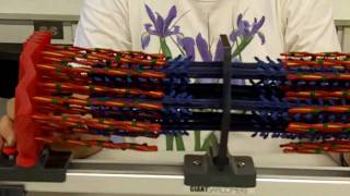 Sliding Filament Sarcomere [upl. by Traweek]