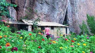 Orphan Finds Dilapidated House in the Mountains  Diy Renovation amp Transformed It to Live Free Life [upl. by Esilec]