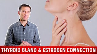 The IodineEstrogen Connection MUST WATCH [upl. by Ludba]