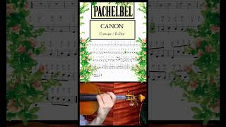 Canon in D  Pachelbel shorts violin [upl. by Korella159]