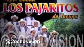 Como No Voy a Llorar  Severo Benito Ft Super Banda Los Pajaritos de Tacupa Michoacan EXITO 2014 [upl. by Alrahc]