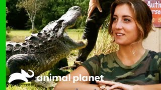 Alligator Catch Inspires A New Volunteer To Join The Everglades Holiday Park  Gator Boys [upl. by Eihs]