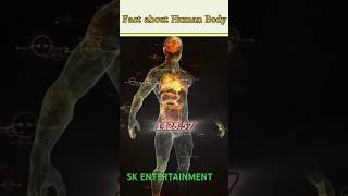 Amazing Facts about human body  SK ENTERTAINMENT [upl. by Honan]