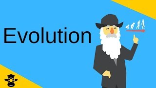 EvolutionThe three major components explained [upl. by Asirac]