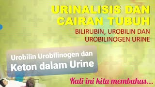 4 Urobilin Urobilinogen dan Keton Urine [upl. by Schreibe]