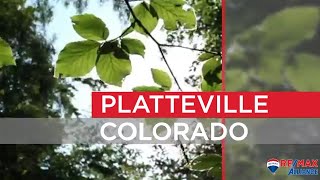 Platteville Community Demographics [upl. by Savadove243]