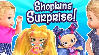 Barbie  The Twins Shopkins Surprise  Ep119 [upl. by Norrej407]