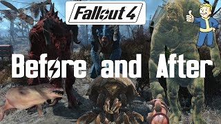 FALLOUT 4 CREATURES BEFORE AND AFTER MUTATION [upl. by Tak]