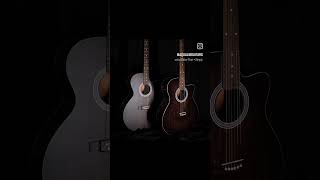 guitar fingerstyle fingerstyle aqualibguitars indianluthiers guitarist [upl. by Ahsaet]