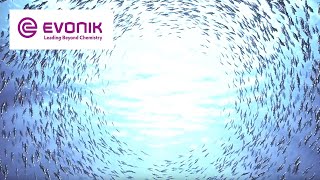 Evonik in three minutes  Evonik [upl. by Nivahb]