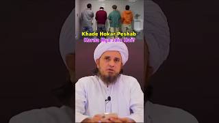 Khade Hokar Peshab Karna Jaiz Haishorts islamicscholar [upl. by Nostets]