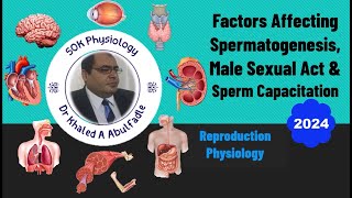 Factors Affecting Spermatogenesis amp Male Sexual Act 102024 by Dr Khaled A Abulfadle [upl. by Litch]