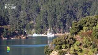 Marlborough Sounds things to see and do in Picton cruise the Sound walk Queen Charlotte Track [upl. by Ennyletak]