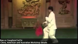 Yang Jun Tai Chi Sabre [upl. by Miharba]