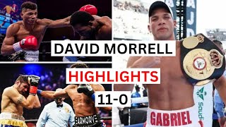 David Morrell 110 Highlights amp Knockouts [upl. by Yrrab199]