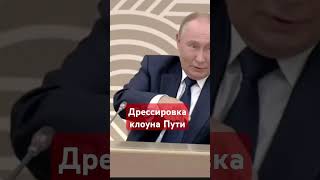 Путин врет о сво россияукраинанатовсуукраинаармияроссиироссияукраинароссияложь [upl. by Eloken]