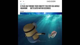 9 Year Old Throws Pet Fish At Seaworld [upl. by Thia]