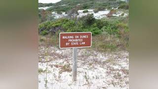 Henderson Beach State Park Hiking Trail Destin Florida [upl. by Uriah766]