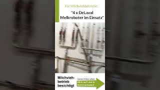 Automatisch melken VIER DeLaval Melkroboter im Einsatz 22 melkroboter delaval [upl. by Annayk]