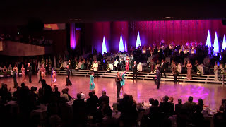 WDC Professional  Final  Cha Cha  WDC German Open 2015 [upl. by Ylrebmyk]