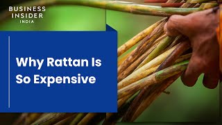 Why Rattan Is So Expensive  So Expensive [upl. by Gile]