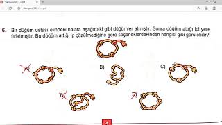 Kanguru Matematik Çözümleri 1 Sınıf 2 Sınıf 2021  Münevver Tuğba SAKAL  Detaylı [upl. by Nylatsirk]