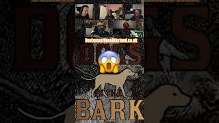 Satirical Dogs denizens dogsinthebark bladesinthedark ttrpgfamily dogs [upl. by Yancy]