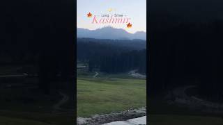 🌺Kashmir in autumn🍂 🍁✨travel kashmir longdrive shortsvideo shorts kashmirtourism [upl. by Lehcar]