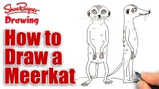 How to draw a Meerkat  Simples  Spoken Tutorial [upl. by Gabrielle622]