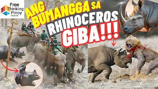 Pinaka malaking Rhinoceros Laban sa Lion Defense Mechanism of Rhinos [upl. by Zischke935]