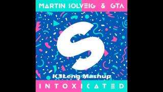 Martin Solveig amp GTA  Intoxicated K3Leng Mashup [upl. by Benita139]