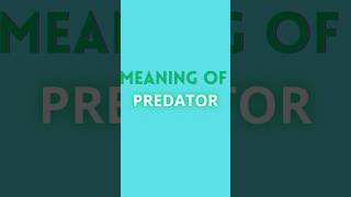 PREDATOR MEANING  ENGLISH ADVANCED WORDS [upl. by Ibbetson]