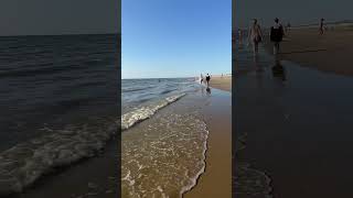 Netherlands beautiful beach Zandvoort shortsfeed youtube amazingholland376 [upl. by Arreyt]