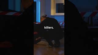 Faceless Killers by Henning Mankell  Quick 1Minute Summary [upl. by Khorma]