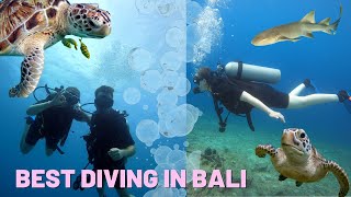 Best Diving in Bali  Nusa Dua Dive Centre  Blue Lagoon [upl. by Nissensohn]