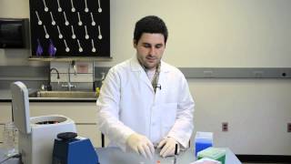 Second Step in DNA Extraction Tutorial [upl. by Anchie]