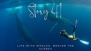 Life with Whales  Behind The Scenes of Charter Life Story 41 [upl. by Prinz978]