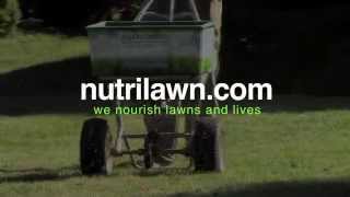 Have the lawn you deserve with the help of the pros at NutriLawn [upl. by Aitahs799]