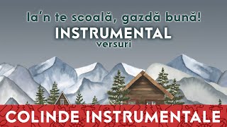 Ian te scoală gazdă bună ❄️ INSTRUMENTAL karaoke [upl. by Aritak863]